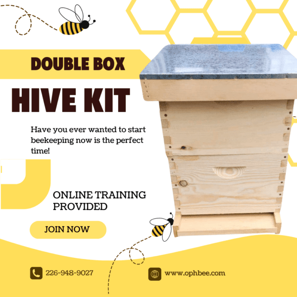 Double Hive Kit | 8 Frame