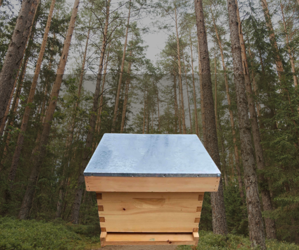 Single Hive Kit Waxed